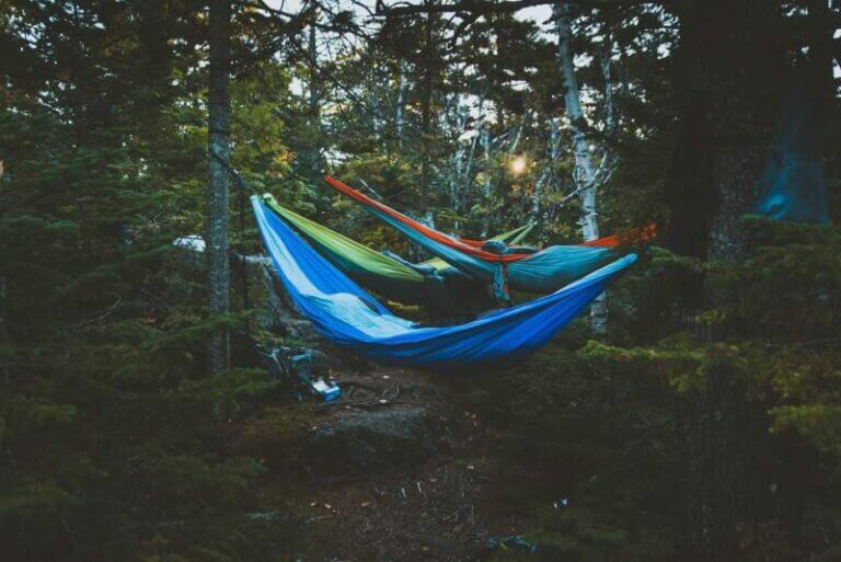 Hammocks